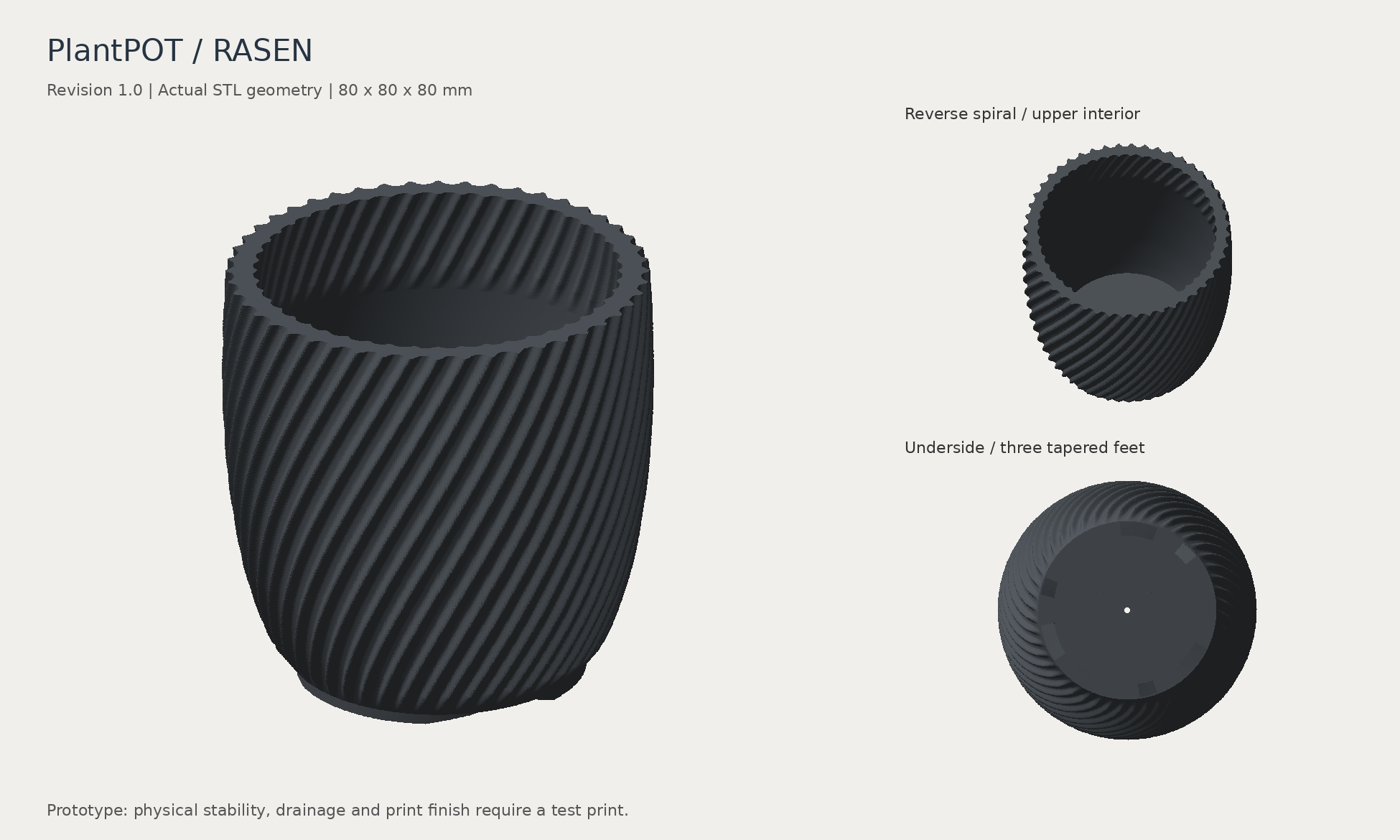 実際のRASENの3D形状プレビュー