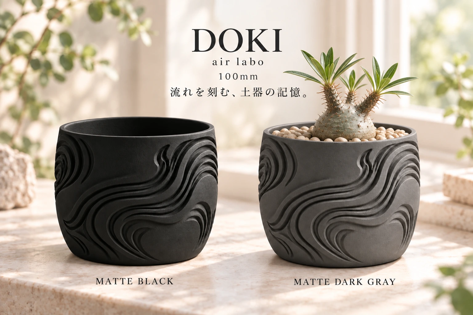 パキポディウム・グラキリスを植えた100mmプランターの使用イメージ